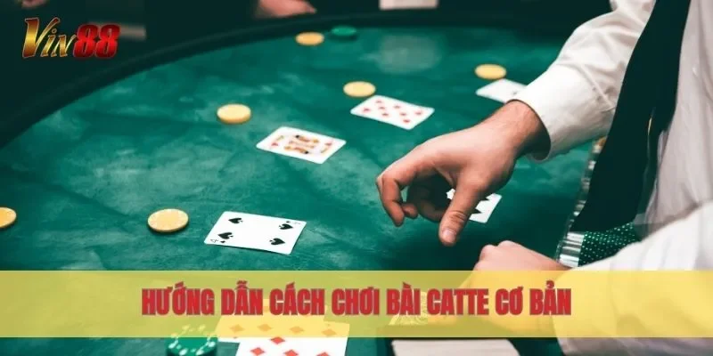 Hướng dẫn cách chơi bài Catte cơ bản