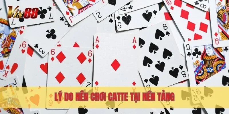 Lý do nên chơi Catte tại nền tảng