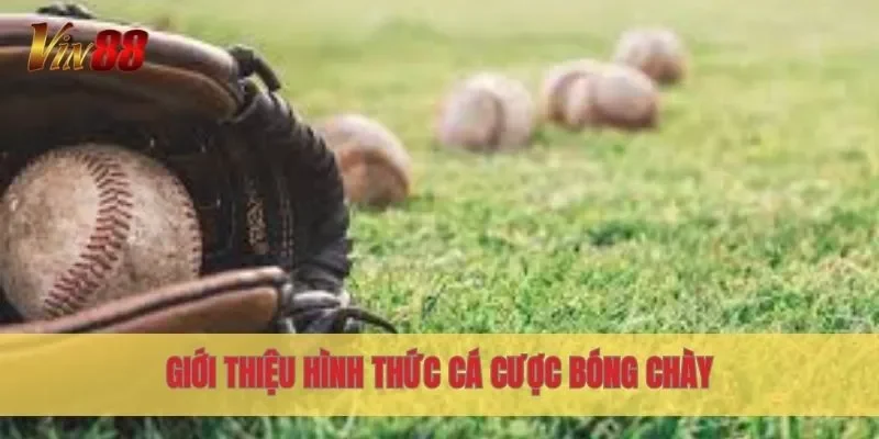 Giới thiệu hình thức cá cược bóng chày