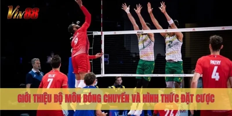 Giới thiệu bộ môn bóng chuyển và hình thức đặt cược