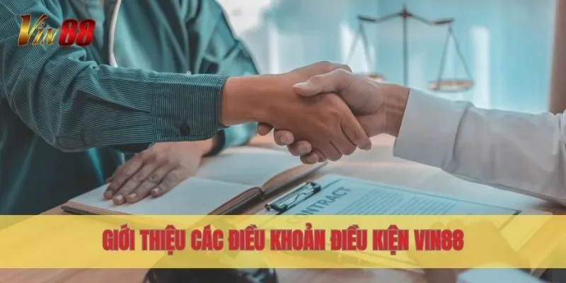 Giới thiệu các điều khoản điều kiện Vin88