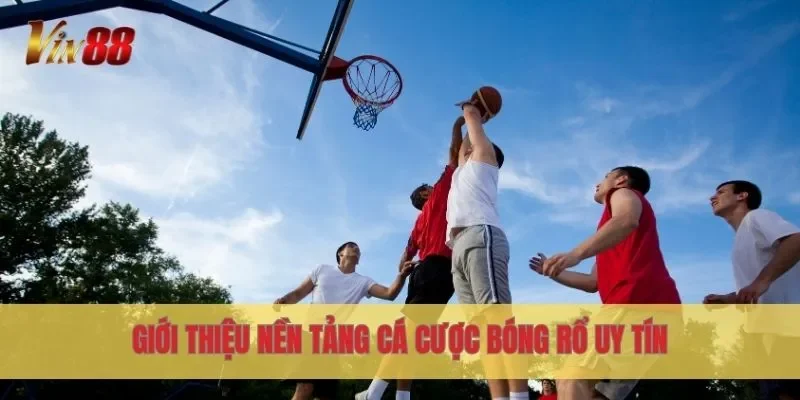 Giới thiệu nền tảng cá cược bóng rổ uy tín
