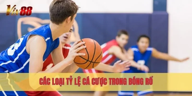 Các loại tỷ lệ cá cược trong bóng rổ